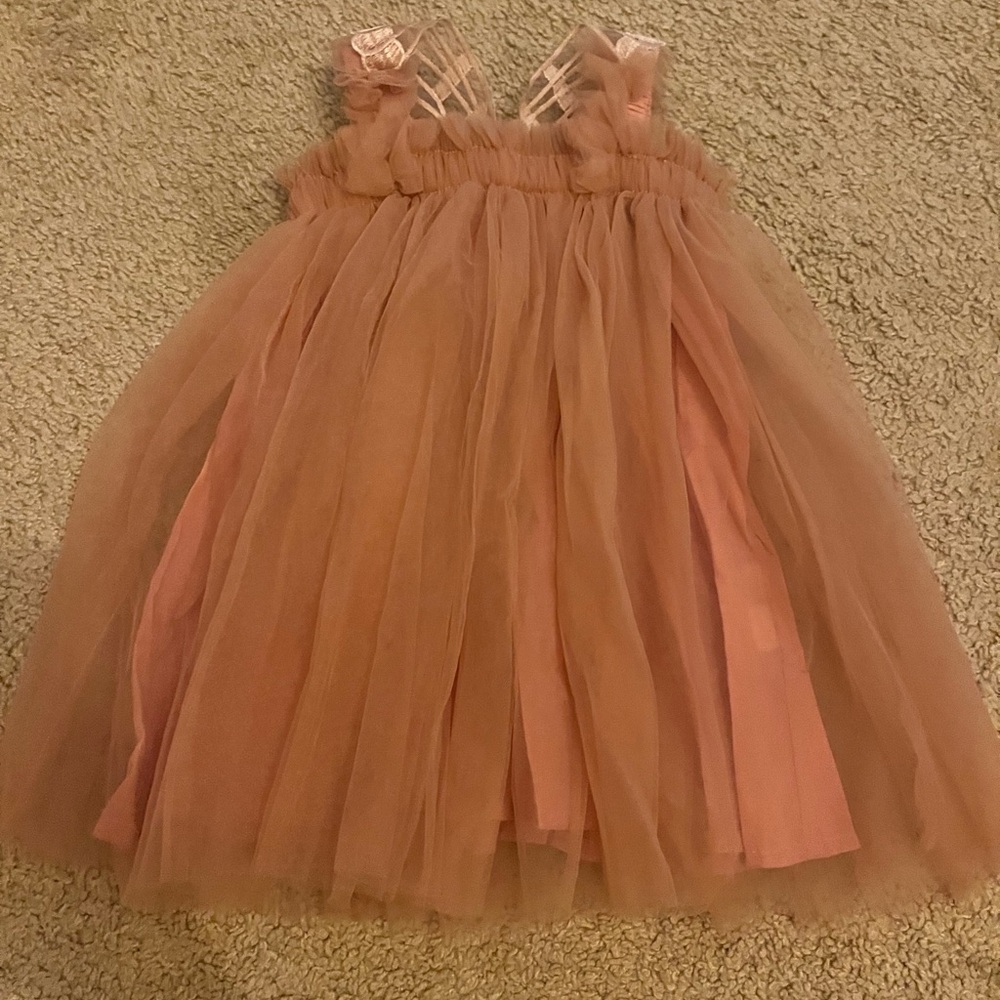 Elegant Blush Tulle Butterfly Dress